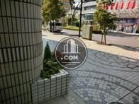 ビルの前は広い歩道があります
