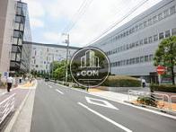 見透しの良い通り