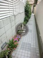 整備された植栽