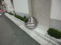 側面と道路との間には植込みがあります