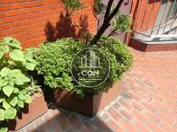 ドア脇に植栽