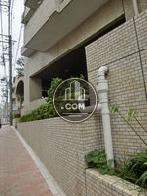 歩道に沿って植物の植込み