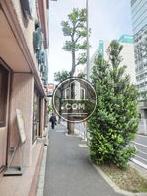 街路樹のある通り