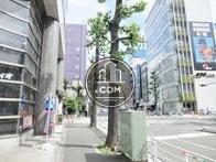 街路樹のある歩道