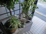 植物が多いのは良いですね