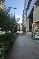 物件正面の道路です