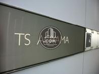 TS AOYAMA