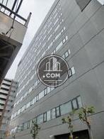 戸越銀座方面より撮影