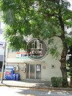 街路樹のある環境