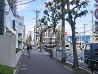 綺麗に舗装されています