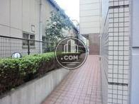 植樹されています