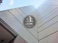 側面部分を見上げた光景