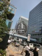 正面入口付近から見た周辺です