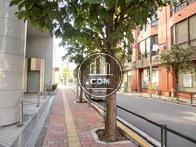 街路樹のある歩道