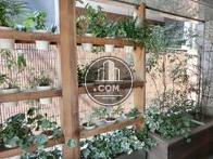 エレベーター前の植栽が和ませてくれます