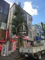 物件の前に大きな街路樹があります