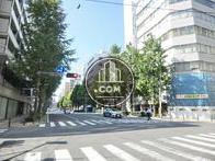 関内大通り沿い