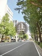 木々が立ち並ぶ道路