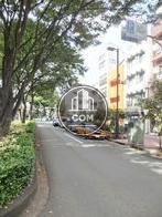 緑の多い公道