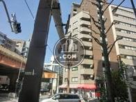 正面入口付近から見た周辺です