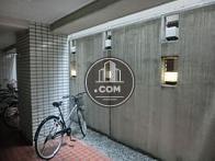 隣地との壁がなく開放感があります