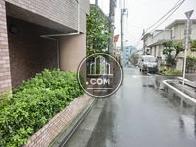 植樹されています