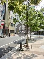 街路樹のある通り