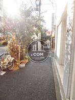 街路樹のある通り