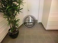 観葉植物が設置されています