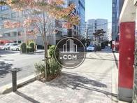 街路樹の配置された前面通り