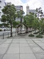 気持ちの良い歩道です