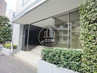 植樹された綺麗な玄関です