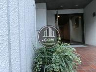 植物が置いてあるなど、お洒落な雰囲気が漂います