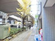 街路樹のある歩道