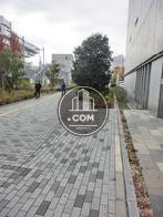 幅の広い歩道です