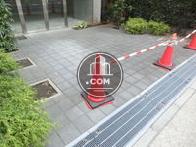 植栽の点在するスペース