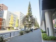街路樹のある通り