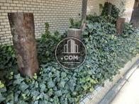 植栽