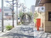 街路樹のある通り