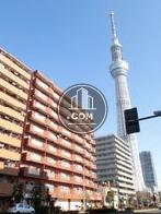 スカイツリーの見える立地