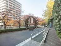 前面道路右側です
