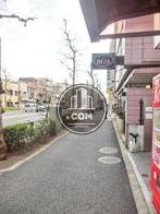 街路樹のある通り