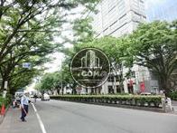 遠くからでもよく目立ちますね