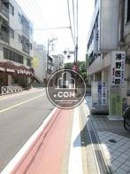 綺麗な通りです