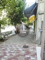 街路樹のある歩道