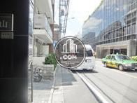 玄関前の歩道