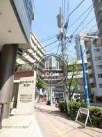 緩やかな傾斜面沿い