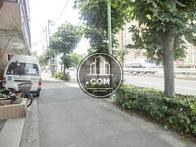 街路樹のある通り