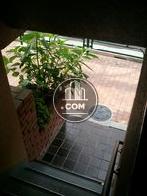 玄関内からの見え方