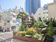 玄関前から右側を見た様子（植栽）